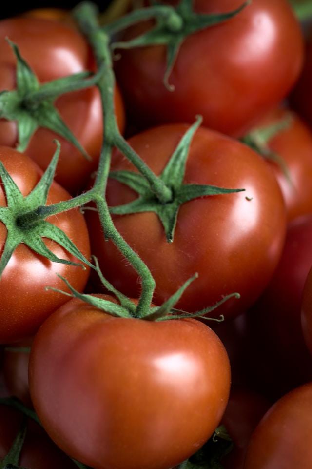 tomates