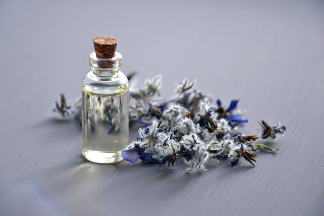 Flacon d'huile essentielle de lavande avec des brins de lavande à côté