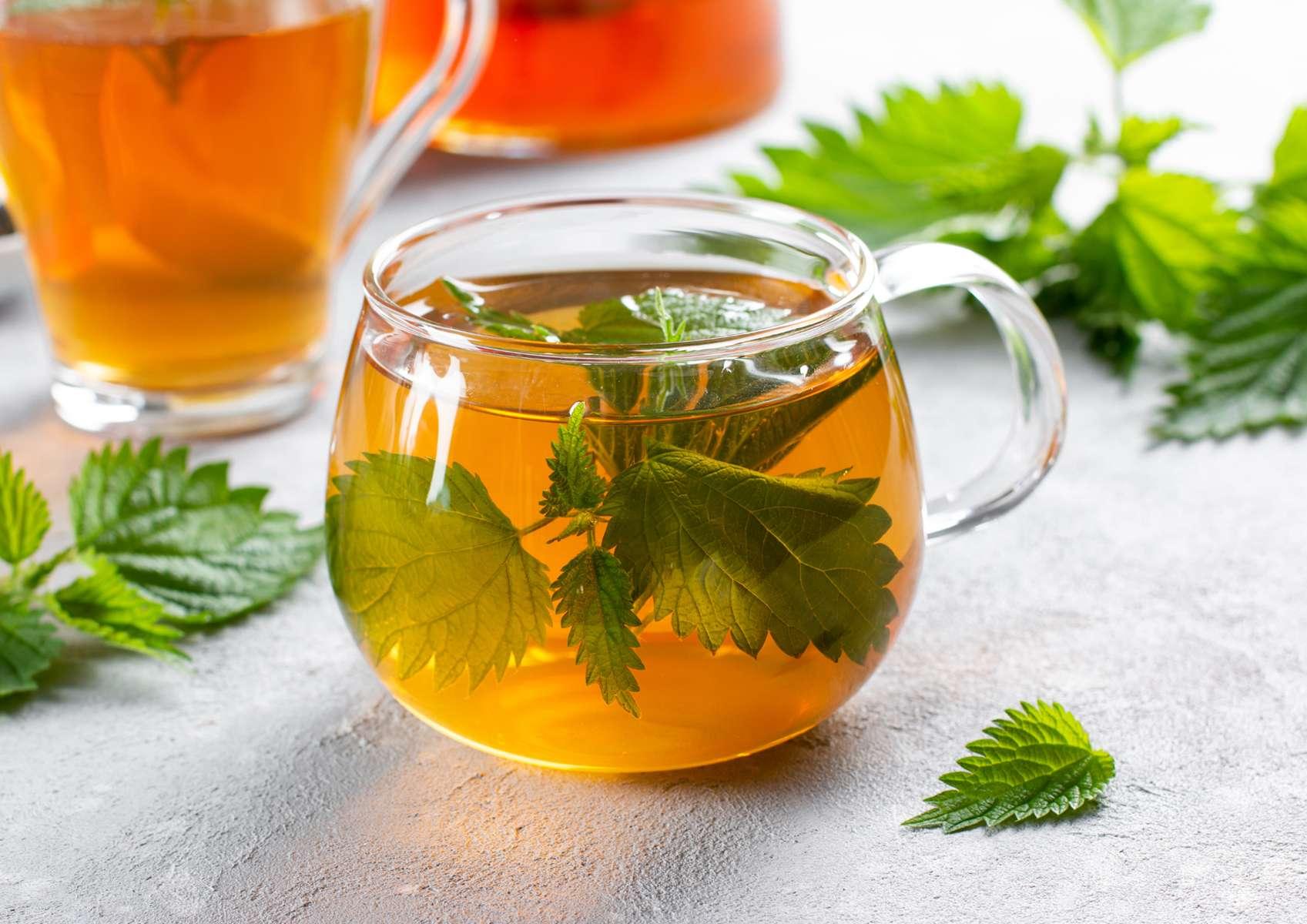 Tisanes d'ortie dans tasses transparentes avec feuilles d'ortie autour