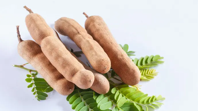 Vue de haut cinq gousses de dattes indiennes sur feuilles vertes et fond blanc