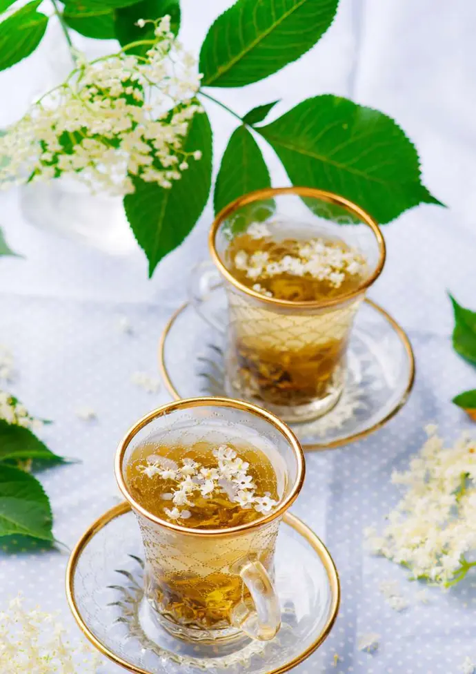 Deux tasses transparentes avec bords dorés  contenant de la tisane  avec des fleurs de sureau blanches dedans et à côté
